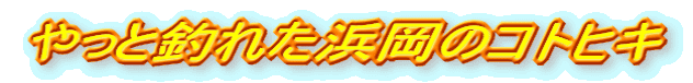 ƒނꂽl̃RgqL